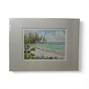 Tranquil Bahamas Beach Scene Art Print